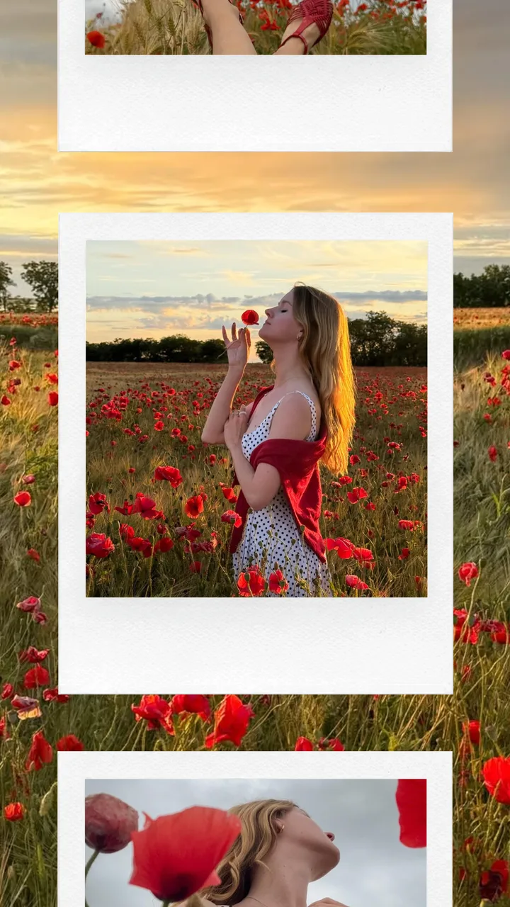 "Poppy Field" Golden Hour Stacked 3-Photo Polaroid Instagram Story Template template preview
