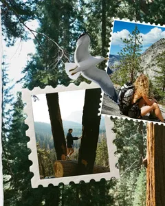 Coastal Trails and Nature Wanderlust Seamless Panoramic Instagram Carousel Template — slide 3