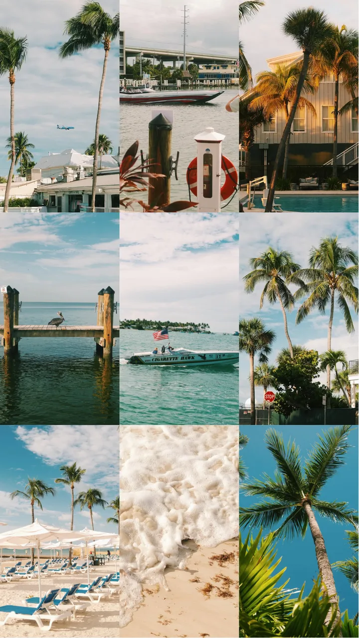 Tropical Mosaic Grid Instagram Story Template for Travel & Vacations template preview