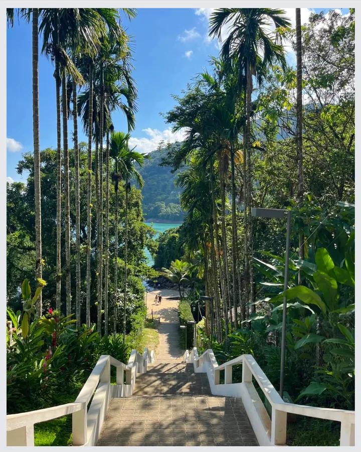 Tropical Island Scrapbook Seamless Panoramic Instagram Carousel Post Template — slide 2
