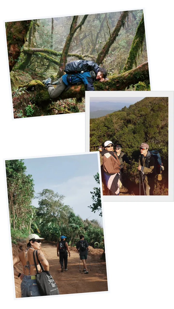 Wilderness Hiking Scrapbook Polaroid Instagram Story Template template preview