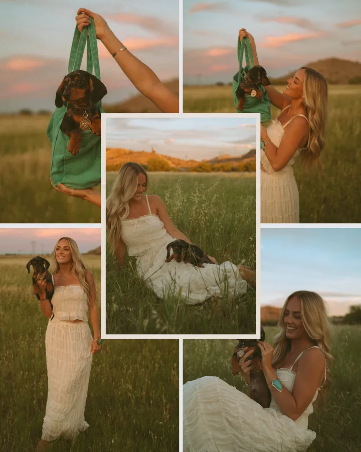Dreamy Sunset Meadow Pet Photography Instagram Carousel Template — slide 1