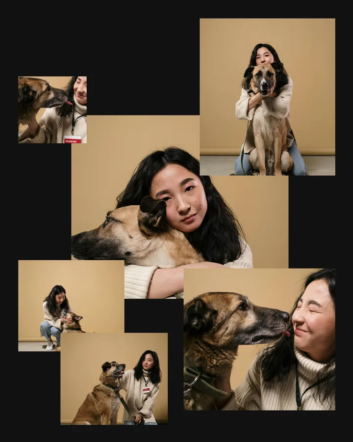 Modern Editorial Pet Photography Collage Instagram Post Template template preview